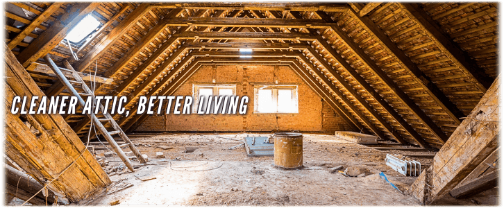 Attic Cleaning Manhattan