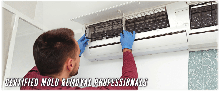HVAC Mold Removal Manhattan